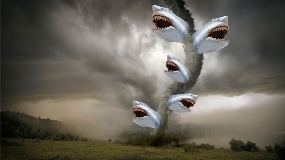 sharknado-attack.jpg